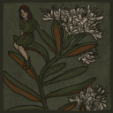 labrador-tea avatar