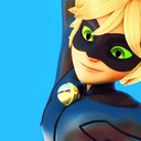 ladybug-and-chatnoir-blog avatar