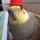 larryburb avatar