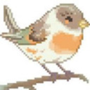 lavenderbirds avatar