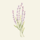 lavenderotpprompts avatar