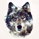 lazygraywolf avatar