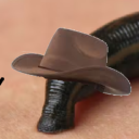 leachcowboy avatar