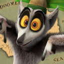 lemurslovethelemurladies avatar