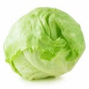 lettucefather avatar