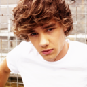 liampaynefacts-blog avatar