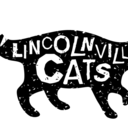 lincolnvillecats avatar