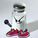 literalsaltshaker avatar