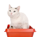 litterbox-gold avatar