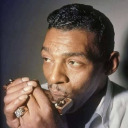 little-walter avatar