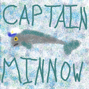 littlecaptainminnow avatar