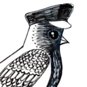 littlestfinch avatar