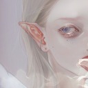 lolarot-blog avatar