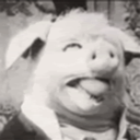 lordofpigs avatar