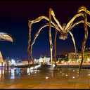 louise-bourgeois avatar