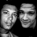 lovejaredpadalecki avatar