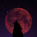 lunar-eclipse-tales avatar