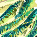 mackerel6 avatar