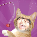 madfatcatmaybee avatar