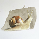 madysnail avatar