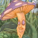 mandragorahigh avatar