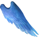 manywings avatar