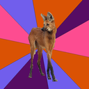 marfanoidmanedwolf avatar