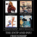 mbti-ni-coti-ne-blog avatar