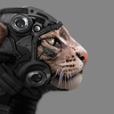 mechkitten avatar