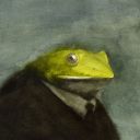 melancholic-frog avatar