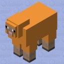 minecraftorangesheepjpg avatar