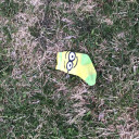 minionsockinthepark avatar