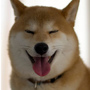 missiledoge avatar