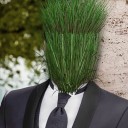 mister-grass avatar