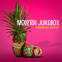 molotovjukeboxofficial avatar