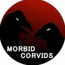 morbidcorvids avatar