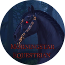 morningstarequestrian avatar