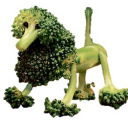 mosscoat avatar