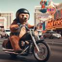 motorbike-bear avatar