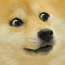 muchdoge avatar