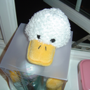 my-duck-in-a-box avatar