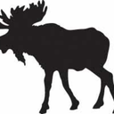 mystery-moose avatar