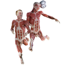 naked-football avatar