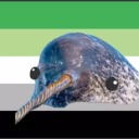 narwhalsarefake avatar