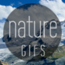 naturaegifs avatar