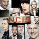 ncis-season-15 avatar