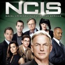 ncis-season-8 avatar