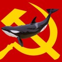 niceorca avatar