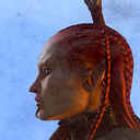 nirnrooty avatar