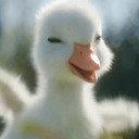 nixyquack avatar